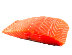 SALMONES